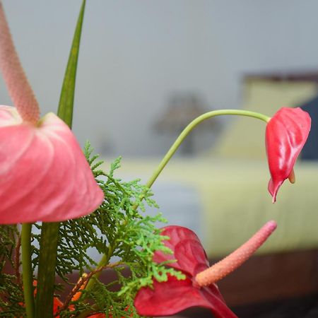 Senu Homestay Sigiriya Esterno foto