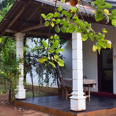 Senu Homestay Sigiriya Esterno foto