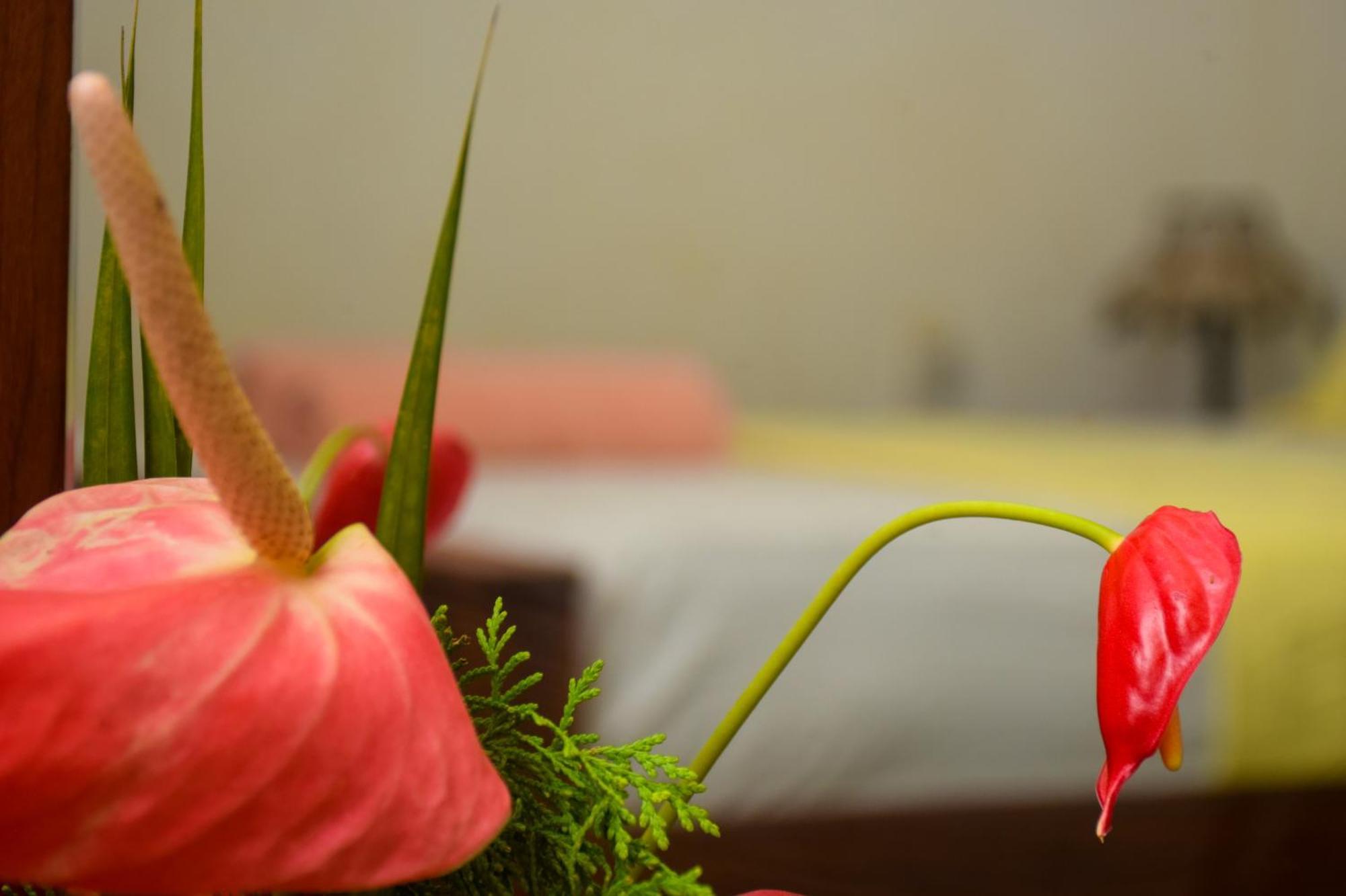 Senu Homestay Sigiriya Esterno foto