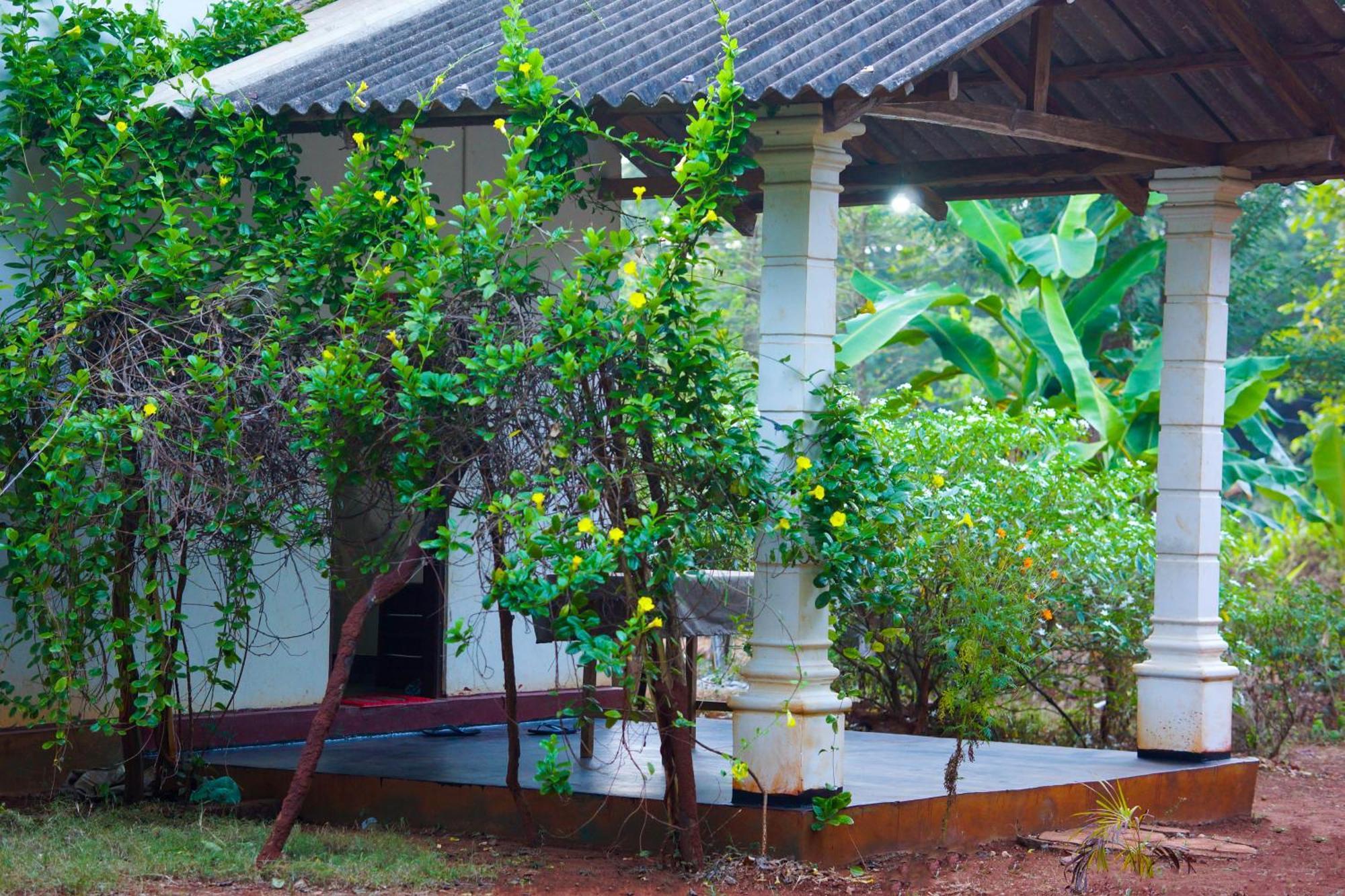 Senu Homestay Sigiriya Esterno foto