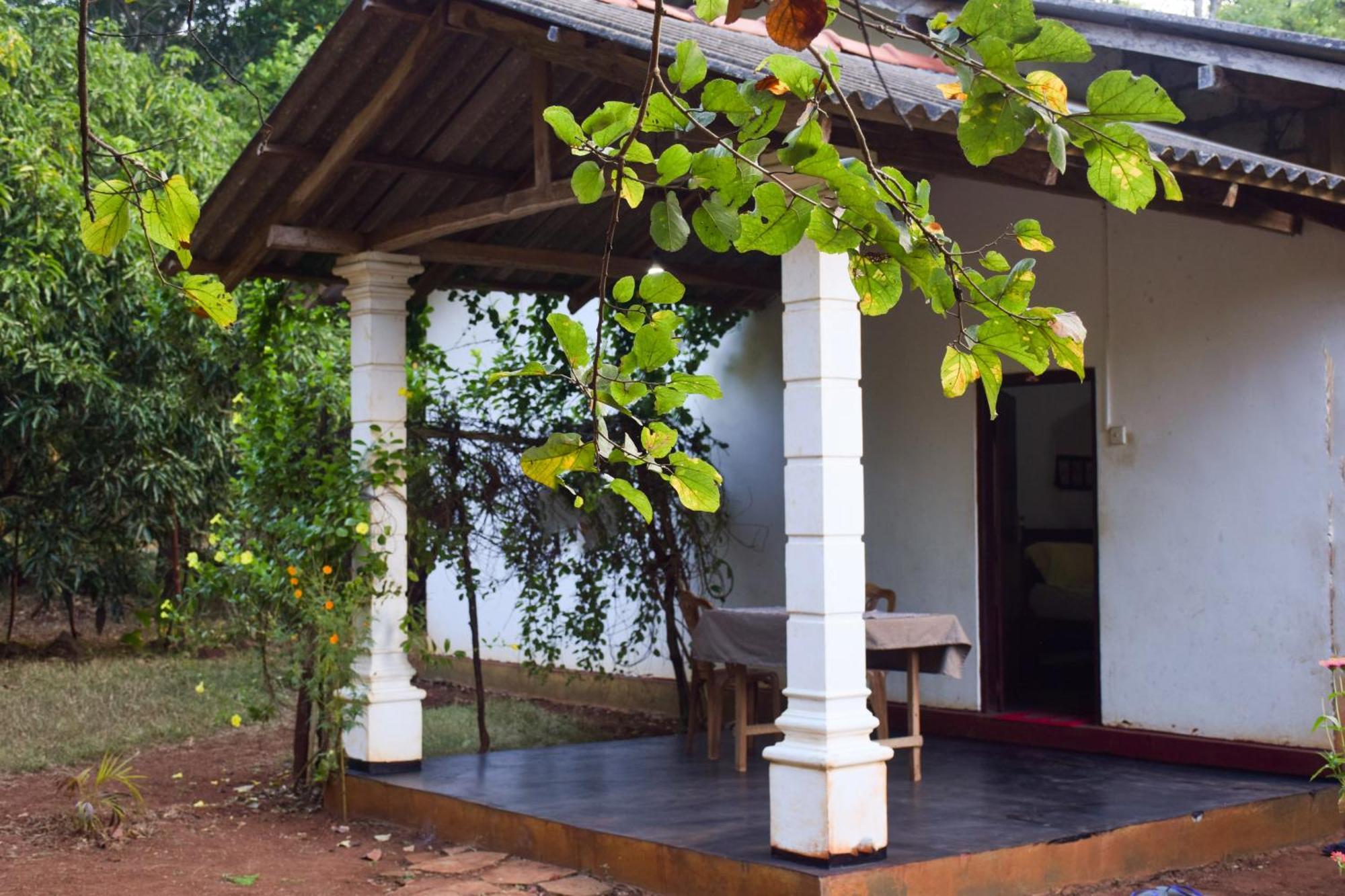 Senu Homestay Sigiriya Esterno foto